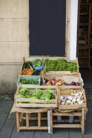 Fresh vegetables in crates. Space for text.