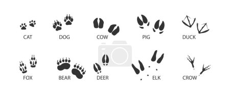 Illustration for Animal tracks black set icon. Foot print of animal and bird. Vector isolated illustration - Royalty Free Image