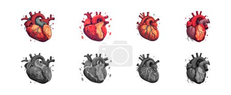 Illustration for Human heart organ set flat cartoon isolated on white background. Vector illustration - Royalty Free Image