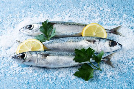 Photo for Raw mackerel fish with lemon and salt around on blue background - Royalty Free Image