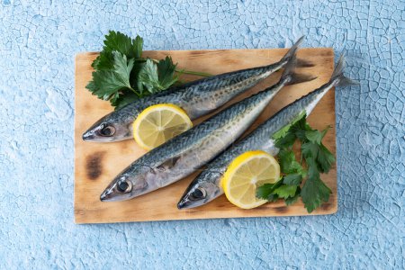 Photo for Raw mackerel fish salt around on blue background. Top view - Royalty Free Image