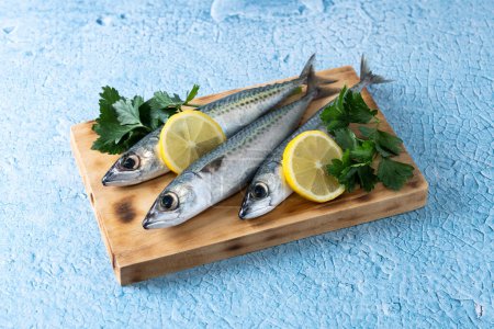 Photo for Raw mackerel fish salt around on blue background - Royalty Free Image