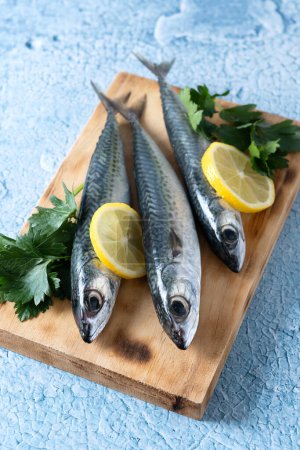Photo for Raw mackerel fish salt around on blue background - Royalty Free Image