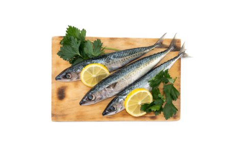 Photo for Raw mackerel fish isolated on white background - Royalty Free Image
