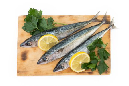 Photo for Raw mackerel fish isolated on white background - Royalty Free Image