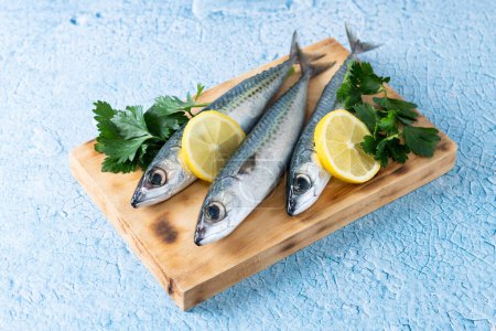 Photo for Raw mackerel fish on cutting board and blue background - Royalty Free Image