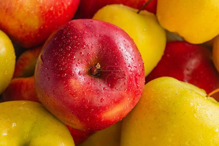 Photo for Red and yellow apples as a background. Fruits - Royalty Free Image