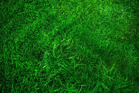 Licht und Schatten im Rasen. Rasengras ist als Hintergrund länger und kürzer grün.