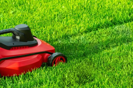 Photo for Working tool for lawn care. The lawnmower mows the grass. - Royalty Free Image