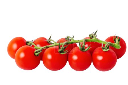 Photo for Vegetable tomatoes. Red ripe cherry tomatoes on a branch isolate on a white background. - Royalty Free Image