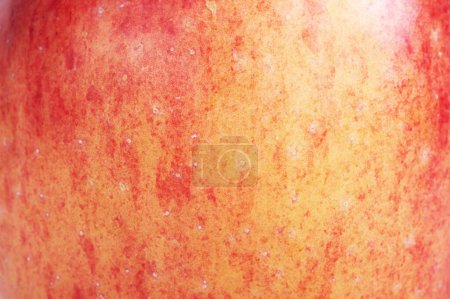 Photo for Texture of a red and yellow apple as a background - Royalty Free Image