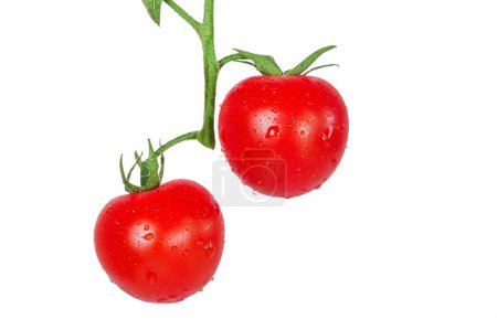 Photo for Vegetables, cherry tomatoes with water drops. Two red ripe tomatoes isolated on a white background. - Royalty Free Image