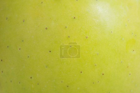Photo for Peel of a green apple macro photo. Apple texture as a background. - Royalty Free Image