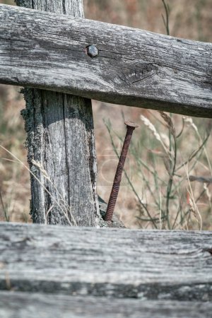 Téléchargez les photos : Un très long clou rouillé dans un banc de parc en bois - en image libre de droit