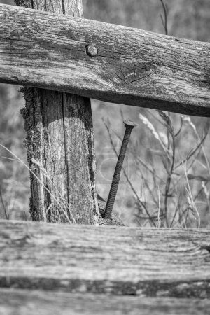 Téléchargez les photos : Un très long clou rouillé dans un banc de parc en bois - en image libre de droit