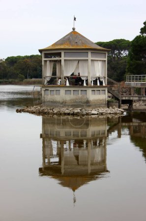 Photo for Pagoda at the idyllic Massaciuccoli Lake - Royalty Free Image