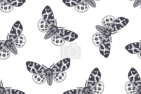 Ilustración de Vintage patrón sin costuras. Mariposa nocturna sobre fondo blanco. Ilustración vectorial en blanco y negro de insectos. Fondo de naturaleza. - Imagen libre de derechos