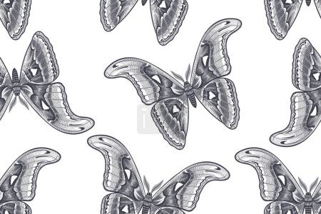 Illustration for Vintage Seamless pattern. Night butterfly on a white background. Vector black and white illustration of insects. Nature background. - Royalty Free Image