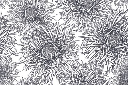 Illustration for Black and White Seamless Pattern. Floral Summer Background. Blooming Flowers Asters. Vintage Template for paper, wallpapers, textiles. Vector illustration. - Royalty Free Image