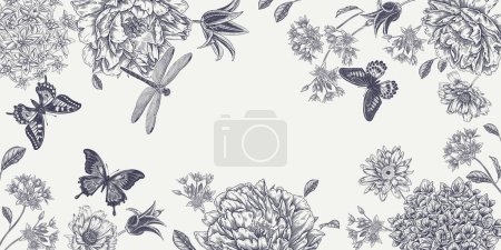 Illustration for Blooming Peonies, Hydrangea, Tulips and Daisies Frame. Flowers, Butterflies and Dragonfly. White background and black graphic. Vintage botanical illustration. Wedding floral decoration. - Royalty Free Image