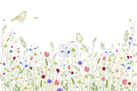 Ilustración de Flores silvestres y pájaros lindos. Frontera de flores. Decoración de la boda. Vintage - Imagen libre de derechos