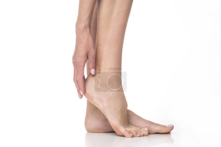 Photo for Slim female legs on isolated white background. - Royalty Free Image