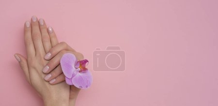 Téléchargez les photos : Manucure naturelle sur fond rose. - en image libre de droit