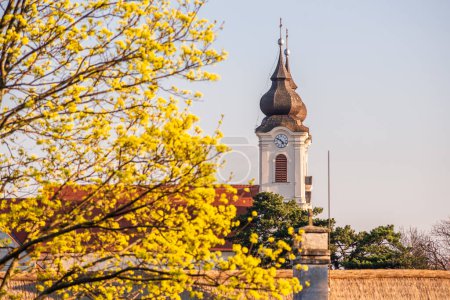 Téléchargez les photos : Tour de l'abbaye bénédictine Tihany avec arbre en fleurs au printemps, Hongrie. - en image libre de droit