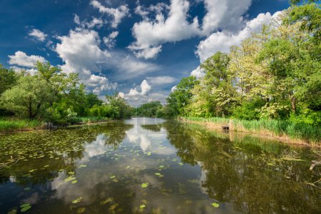 Río escénico en soleado día de verano con follaje verde y sombras. Aguas tranquilas con reflejos de nubes. Hungría
