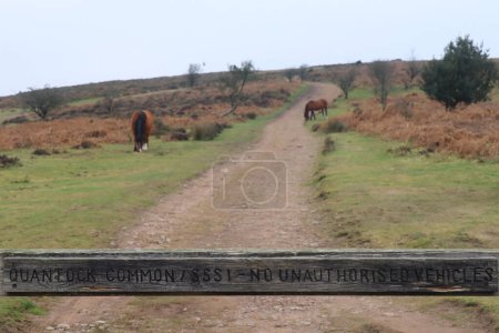 Photo for A wooden sign across a gravel track on the Quantock hills in Somerset, prohibits unauthorised vehicles from entering - Royalty Free Image