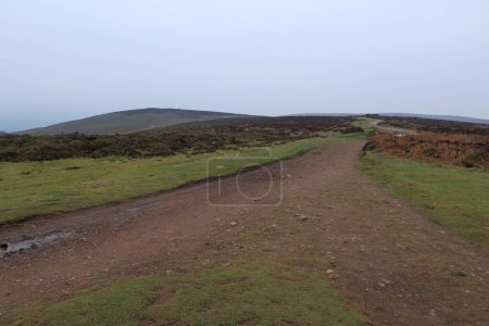 Photo for A lonely gravel track leads across the Quantock Hills. The winter sky is cloudy and overcast - Royalty Free Image