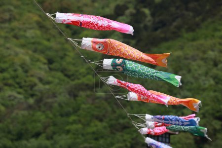 Photo for Koinobori flown in the sky during children's day in japan - Royalty Free Image