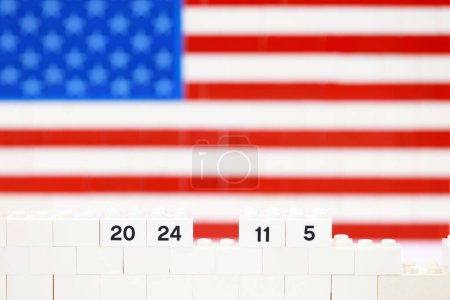 foreground of brick of american flag and a brick which mark as 2024 November 5 