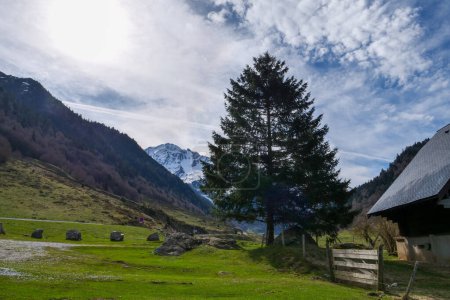 Téléchargez les photos : Pyrénées françaises : route du Gave de Brousset, Laruns, France - en image libre de droit