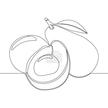 Photo for Continuous one single line drawing of avocado icon vector illustration concept - Royalty Free Image