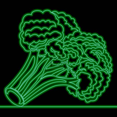 Photo for Broccoli branch sign. Green Agriculture plant Salad ingredient Diet Vegan food. Vegetable farm icon neon glow vector illustration concept - Royalty Free Image