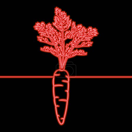 Photo for Carrot Agriculture plant Salad ingredient Diet Vegan food. Vegetable farm icon neon glow vector illustration concept - Royalty Free Image