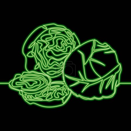 Photo for Cabbage Agriculture plant Salad ingredient Diet Vegan food. Vegetable farm icon neon glow vector illustration concept - Royalty Free Image