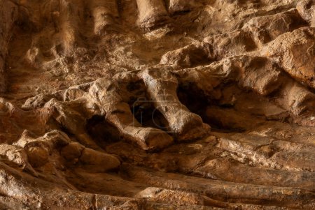 Es wurde 1977 genau an der Stelle errichtet, an der das Skelett eines Kronosauriers gefunden wurde. Dort ist das Fossil des Kronosaurus Boyacensis Hampe zu sehen, so der wissenschaftliche Name dieses Reptils. Nur zwei Exemplare auf der ganzen Welt, darunter die
