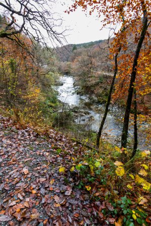 Foto de Río Afon Mawddach en Coed y Brenin Forest Park en otoño, caída cerca de Dolgellau, Snowdonia, Gales del Norte, Reino Unido, retrato, gran angular - Imagen libre de derechos
