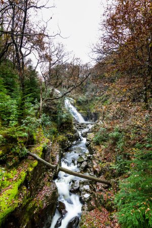 Foto de Cascada Pistyll y Cain en Coed y Brenin Forest Park en otoño, otoño, retrato cerca de Dolgellau, Snowdonia, Gales del Norte, Reino Unido, retrato, gran angular - Imagen libre de derechos