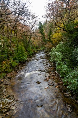 Foto de Río del Reino Unido en otoño otoño. River Afon Mawddach en Coed y Brenin Forest Park en otoño, caída cerca de Dolgellau, Snowdonia, Gales del Norte, Reino Unido, retrato - Imagen libre de derechos
