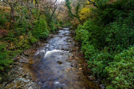 Foto de Río del Reino Unido en otoño otoño. Río Afon Mawddach en Coed y Brenin Forest Park en otoño, caída cerca de Dolgellau, Snowdonia, Gales del Norte, Reino Unido, paisaje - Imagen libre de derechos
