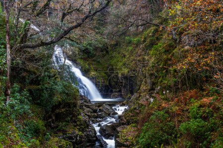 Foto de Cascada Pistyll y Cain en Coed y Brenin Forest Park en otoño, otoño, retrato cerca de Dolgellau, Snowdonia, Gales del Norte, Reino Unido - Imagen libre de derechos