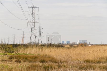 Photo for Line of electric pylons into distance above countryside, Hinkley Point Nuclear Power Station in distance, landscape - Royalty Free Image
