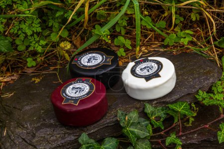 Photo for BETHESDA, WALES: Illustrative Editorial of Snowdonia Cheese Company Black Bomber Ruby Mist and Truffle Trove cheese truckles on a wet old slate wall, landscape, November 18 2021 - Royalty Free Image
