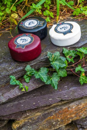Photo for BETHESDA, WALES: Illustrative Editorial of Snowdonia Cheese Company Black Bomber Ruby Mist and Truffle Trove cheese truckles on a wet old slate wall, portrait, November 18 2021 - Royalty Free Image