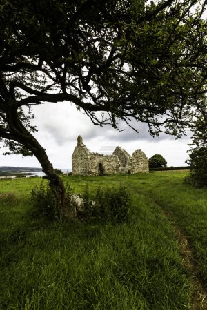 Téléchargez les photos : Capel lligwy, ruine de chapelle ou église du XIIe siècle, ciel comme copyspace, sommet. Près de Moelfre, Anglesey, Pays de Galles du Nord, Royaume-Uni, portrait, encadré par arbre, grand angle - en image libre de droit