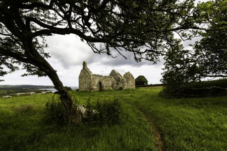 Téléchargez les photos : Capel lligwy, ruine de chapelle ou église du XIIe siècle, ciel comme copyspace, sommet. Près de Moelfre, Anglesey, Pays de Galles du Nord, Royaume-Uni, paysage, encadré par arbre, grand angle - en image libre de droit