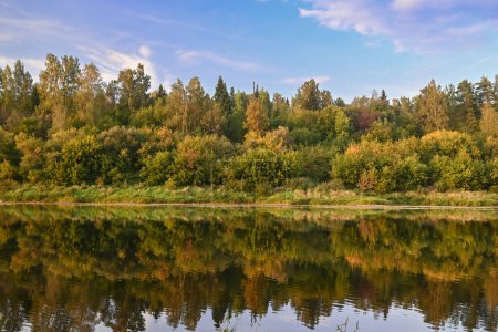 Herbstwald spiegelt sich in einem Fluss mit blauem Himmel darüber. Grünes und gelbes Laub. Sehr ruhiges, spiegelndes Wasser, das an einem sonnigen Abend die Herbstlandschaft widerspiegelt. Ein paar leichte Wolken am Himmel